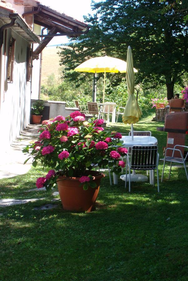 Agriturismo La Guinza Arcidosso Exterior photo