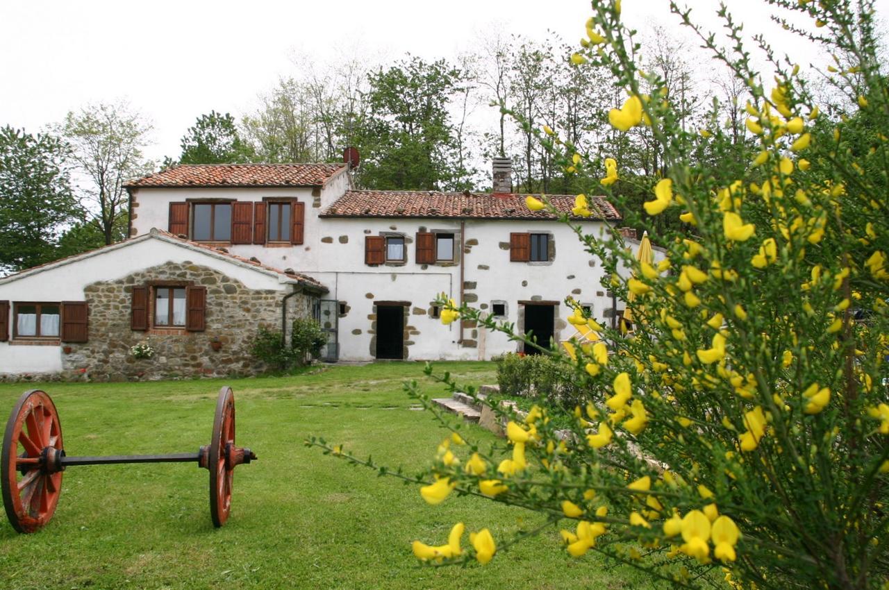 Agriturismo La Guinza Arcidosso Exterior photo